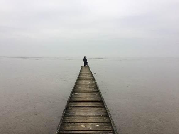 Schüler im Rollstuhl auf dem Steg auf's Meer blickend