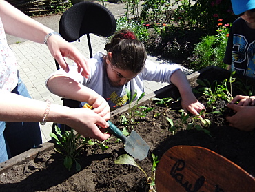 Schülerin gräbt mit der Schufel im Hochbeet