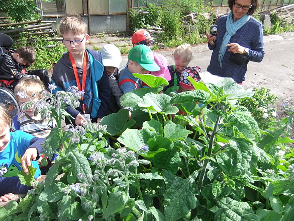 Schülerinnen und Schüler sowie Kindergartenkinder am Hochbeet