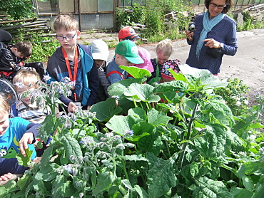 Schülerinnen und Schüler sowie Kindergartenkinder am Hochbeet