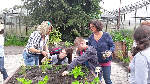 Schülerinnen udn Schüler pflanzen zusammen mit Erwachsenen am Hochbeet