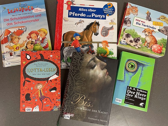 Goldschmidt B&uuml;cherei - Vielfalt