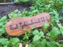 Schild im Beet